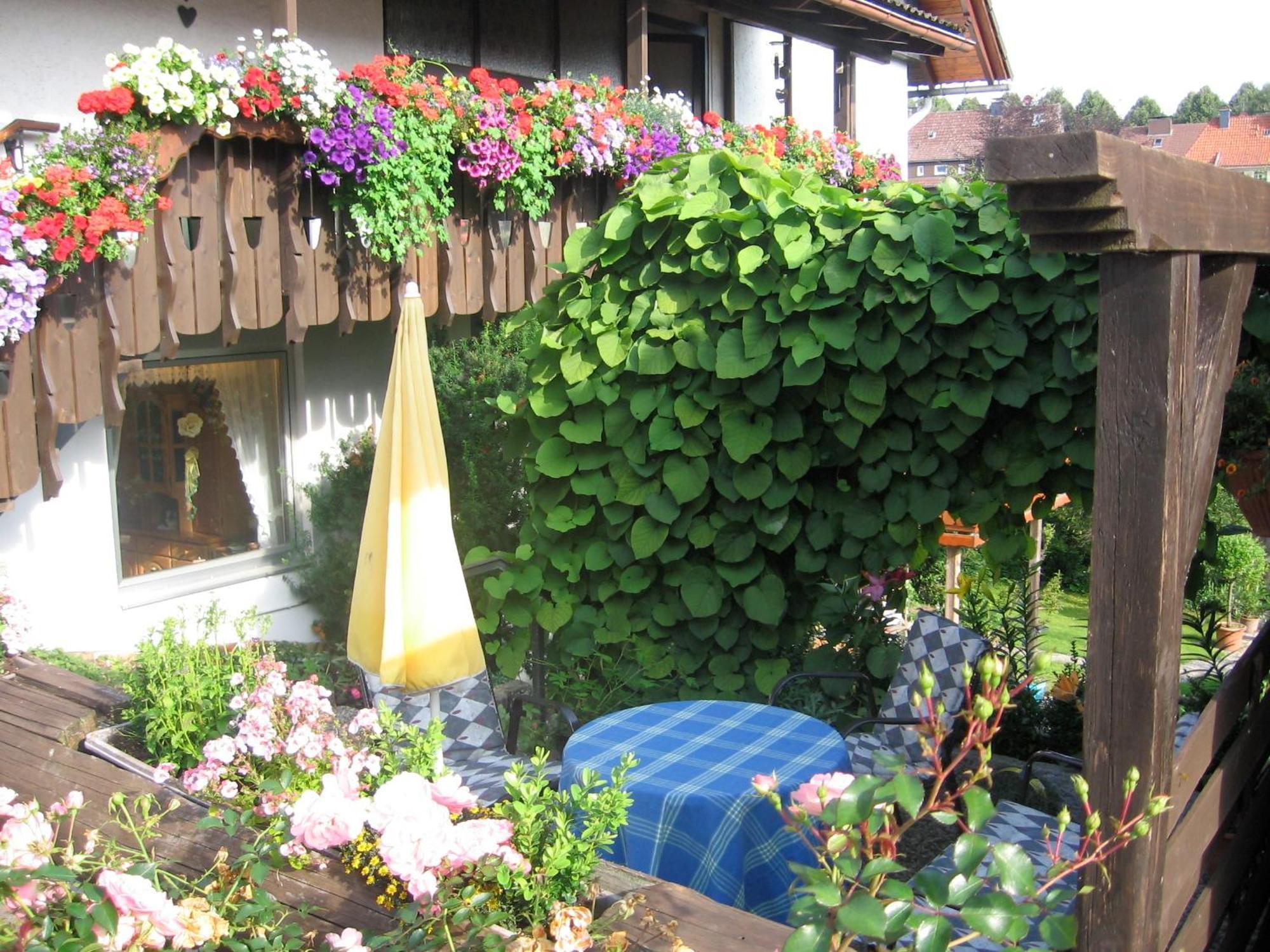 Apartmenthaus - Haus Am Schultal, Braunlage Zewnętrze zdjęcie